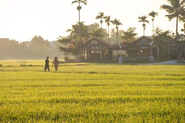 5D4N Exquisite Da Nang / Hue/ Hoi An / Ba Na Hill Tour - photo 31